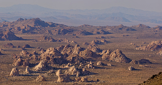 Anthills At Joshua Tree