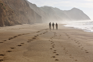 Walking Point Reyes