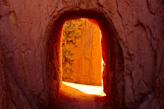 Red Door