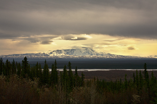 Gold Mountain